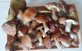 Apartman Jachymov Krusne Hory